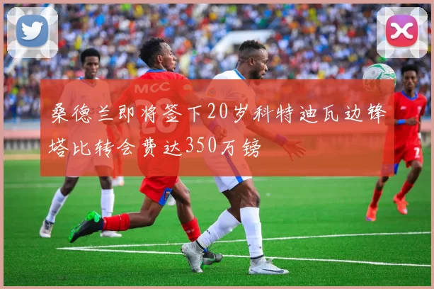桑德兰即将签下20岁科特迪瓦边锋塔比转会费达350万镑