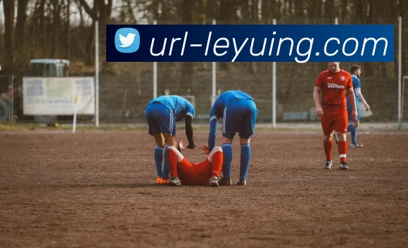 乐鱼体育平台生态图